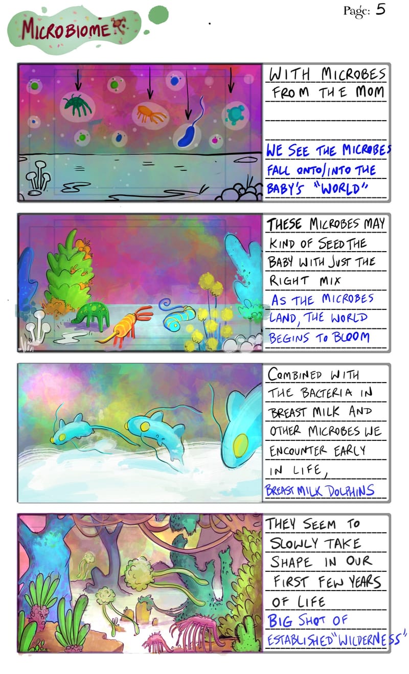 Storyboard page 5: microbes fall into a newborn's world, the world begins to bloom, dolphin-like microbes leap through breast milk, and a microbe wilderness grows, with script notes beside each panel.